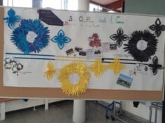 Classe Olympique