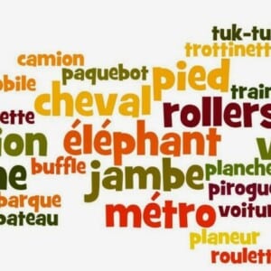 Chasse aux mots