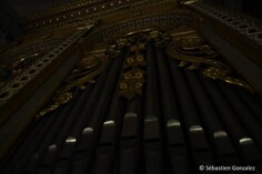 Récital d'orgue