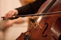 Concert Soli
