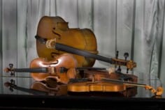 Concerts scolaires