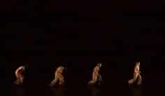 Gala de danse