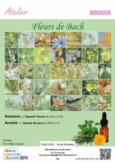FLEURS DE BACH & ÉMOTIONS