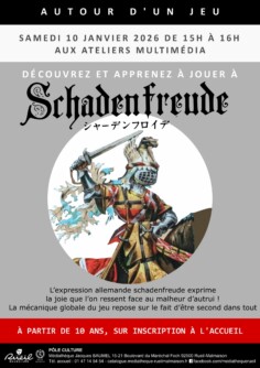 Autour d&rsquo;un jeu : découvrez et apprenez à jouer à Schadenfreude