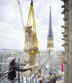 Notre-Dame de Paris : un photographe au cœur du chantier