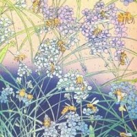 Endroits, envers par Louise Collet