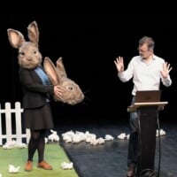 Le Problème lapin